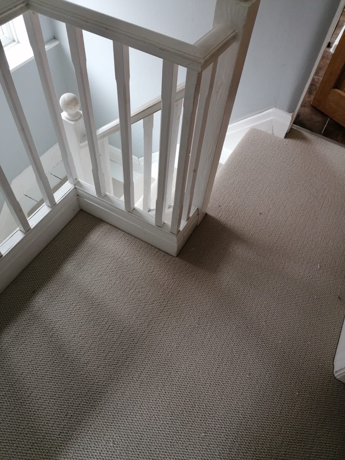 Saxony carpet in hallway